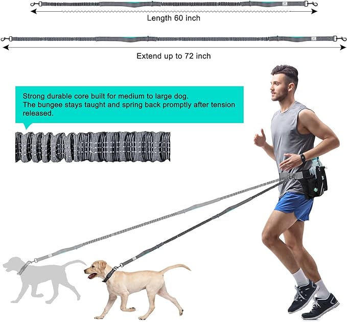 SHINE HAI Retractable Hands Free Dog Leash with Dual Bungees for Dogs, Adjustable Waist Belt Bag, Reflective Stitching Leash for Running Walking Hiking Jogging Biking (for 1 Dog)