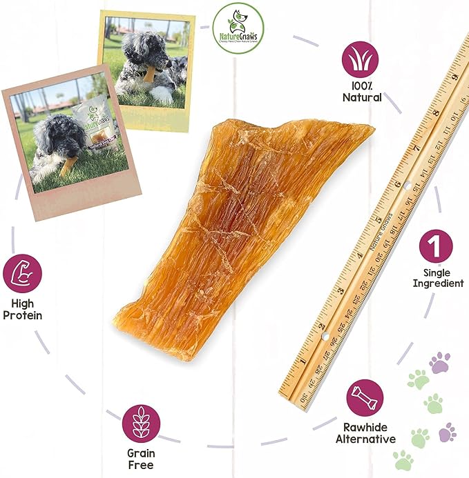 Nature Gnaws Paddywack Tendons for Dogs - Premium Natural Beef Dental Bones - Long Lasting Dog Chew Treats for Medium & Large Dogs - Rawhide Free 5-7 inch