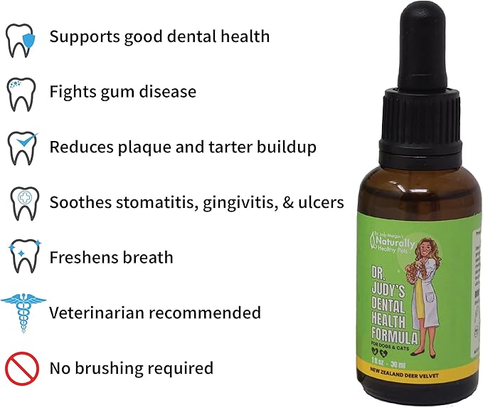 Dr. Judy Morgan's Dental Health Formula for Dogs & Cats, 1 fl oz (30 ml)