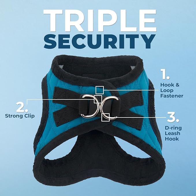 Voyager Step-in Plush Dog Harness – Soft Plush, Step in Vest Harness and Reflective Dog 5 ft Leash Combo with Neoprene Handle for Small and Medium Dogs by Best Pet Supplies -Set (Turquoise Plush), XL