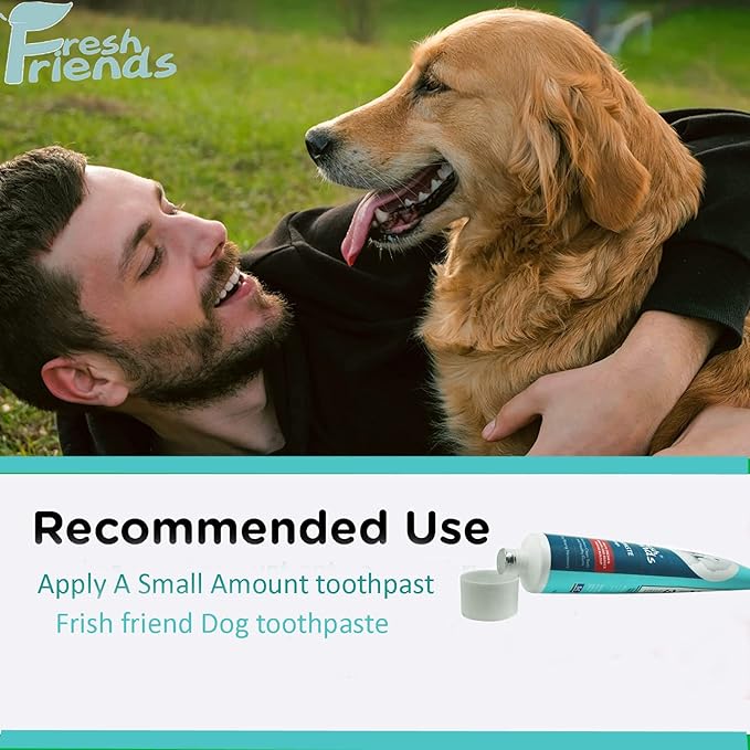FRESH FRIENDS Enzymatic Toothpaste for Dogs | Puppy Toothpaste | Gum Toothpaste | Improves Gum Health | Eliminates Bad Breath, Dog Toothpaste Tartar Remover & Plaque Remover | Dog Dental Care (Beef)