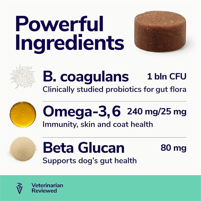 Probiotics for Dogs | Soft Dog Probiotics and Digestive Enzymes for Diarrhea, Gut Health, Itching Skin, Licking Paws | 60 Dog Probiotic Chews | Dog Health Supplies, Pet Supplies for Dogs