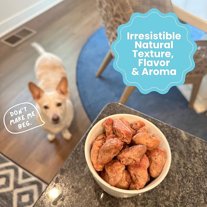hotspot pets Freeze Dried Chicken Hearts for Cats & Dogs - 1LB BIG BAG -Resealable Bag- Single Ingredient All Natural Grain-Free - Made in USA - Perfect for Training, Topper or Snack (Chicken Hearts)