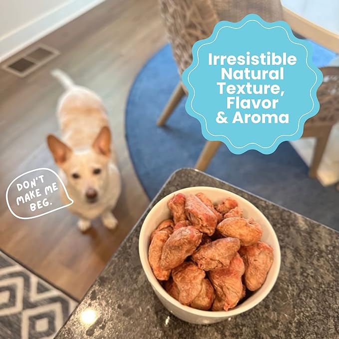 hotspot pets Freeze Dried Chicken Hearts for Cats & Dogs - 1LB BIG BAG -Resealable Bag- Single Ingredient All Natural Grain-Free - Made in USA - Perfect for Training, Topper or Snack (Chicken Hearts)