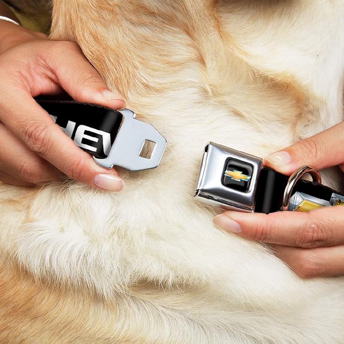 Buckle-Down Seatbelt Buckle Dog Collar - Chevy Bowtie Black/Gold Logo REPEAT - 1.5" Wide - Fits 18-32" Neck - Large