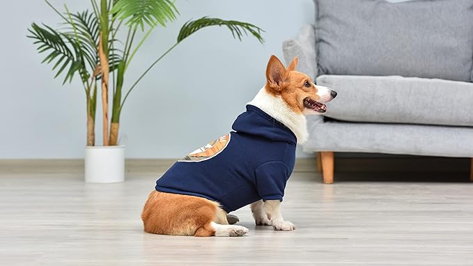 STAR WARS for Pets The MANDALORIAN Hoodie for Dogs, “The CHILD” Design with Leash Attachment Hole, Extra Large| STAR WARS Apparel for Dogs | Cozy Hooded GROGU Sweatshirt for Dogs Navy