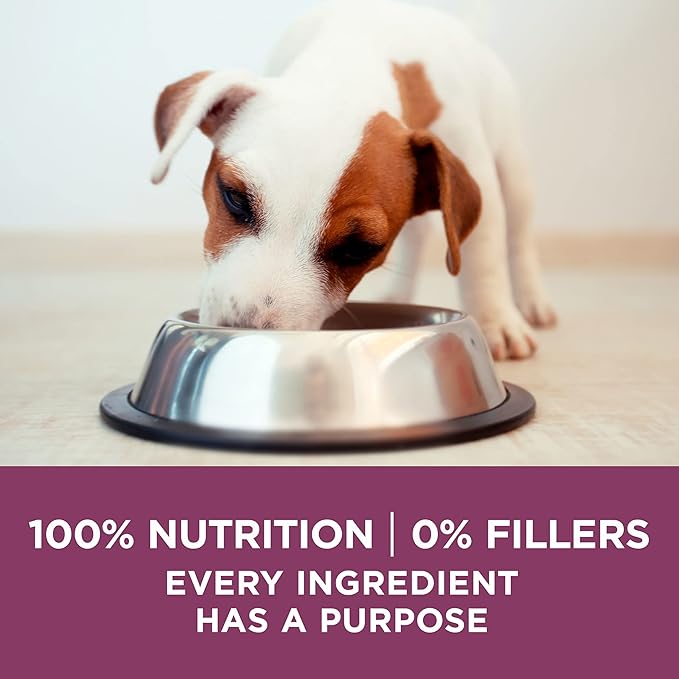 Purina ONE Plus Healthy Puppy Formula High Protein Natural Dry Puppy Food with added vitamins, minerals and nutrients - (Pack of 4) 4 lb. Bags