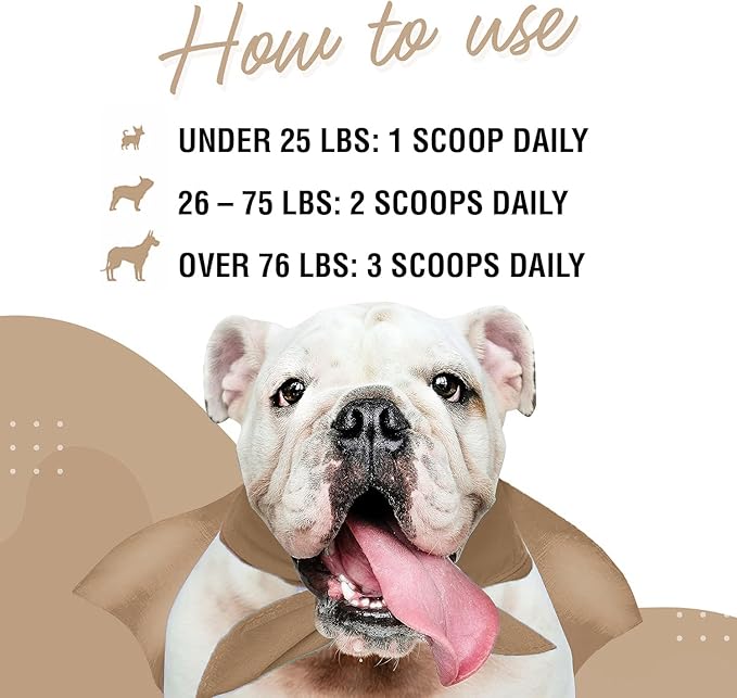 Immune Support Mushroom Powder for Dogs – Organic Mushroom Complex for Immunity, Cognition, Cellular Health, Longevity - With Turkey Tail Mushroom for Dogs, Reishi & Lions Mane – 90 Scoops