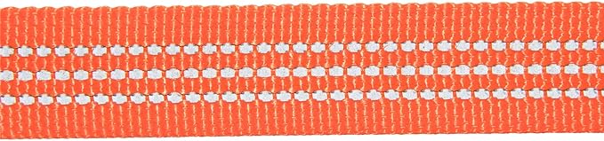 Carhartt Dog Leash, Durable Nylon Webbing Dog Leash, Hunter Orange, Large
