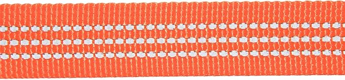 Carhartt Dog Leash, Durable Nylon Webbing Dog Leash, Hunter Orange, Small