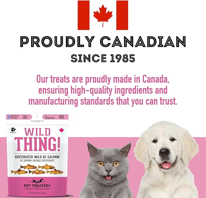 Dehydrated Wild Salmon Treats for Dogs & Cats (3 oz, Pack of 1) Single Ingredient to Maintain Nutrients Vitamins and Healthy Oils Made in Canada