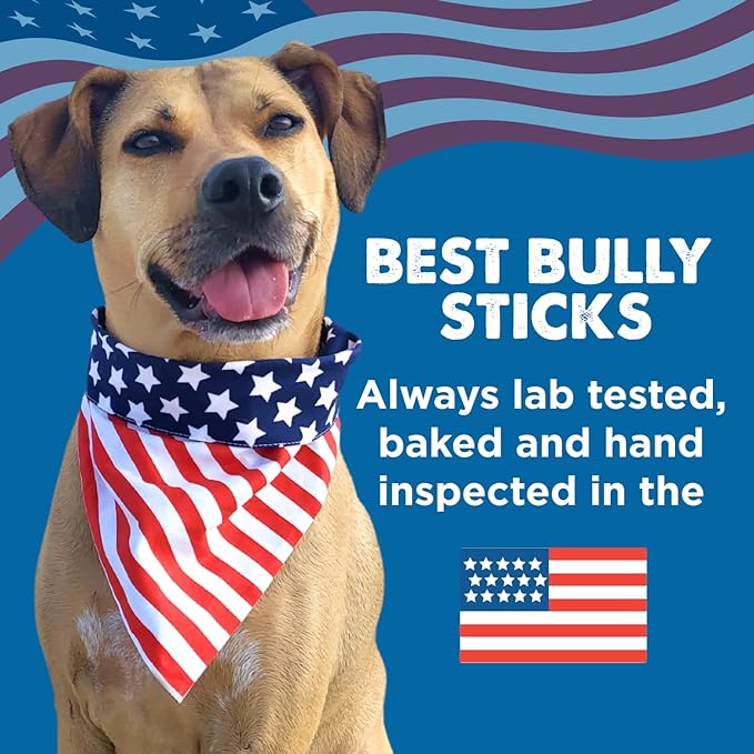Best Bully Sticks Premium 12 Inch Beef Trachea Dog Chews (12 Pack) - All-Natural, Grain-Free, 100% Beef, Single-Ingredient Dog Treat Chew - Promotes Dental Health