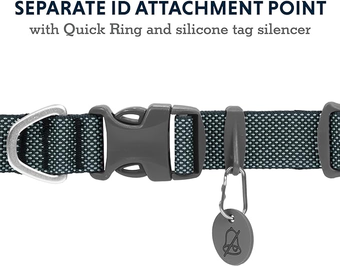 Ruffwear, Hi & Light Dog Collar, Minimal and Ultralight Collar for Everyday Walks and Runs, Basalt Gray, 9"-11"