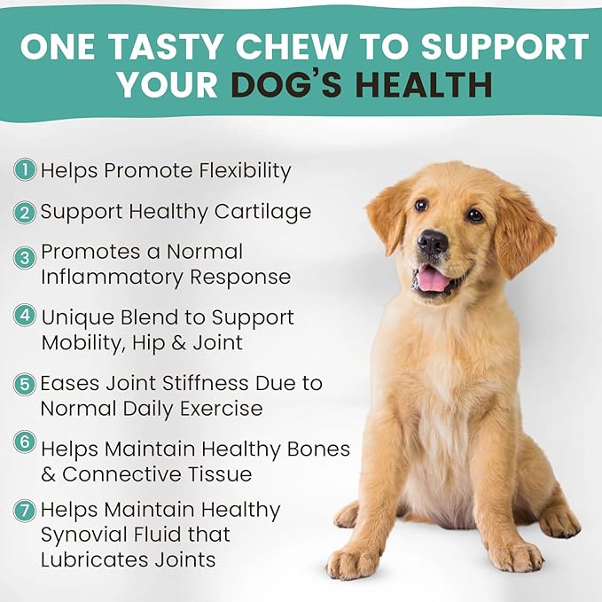 Mobility Hip and Joint Chews for Dogs Maximum Strength | Joints Health Supplement with Glucosamine, Chondroitin, MSM, Turmeric, Green Lipped Mussels, Wild Alaskan Salmon Oil, Omega 3