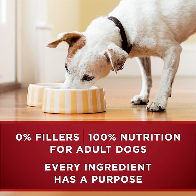 Purina ONE High Protein Wet Dog Food True Instinct Tender Cuts in Dog Food Gravy With Real Turkey and Venison -13 Oz Cans (Pack of 12)