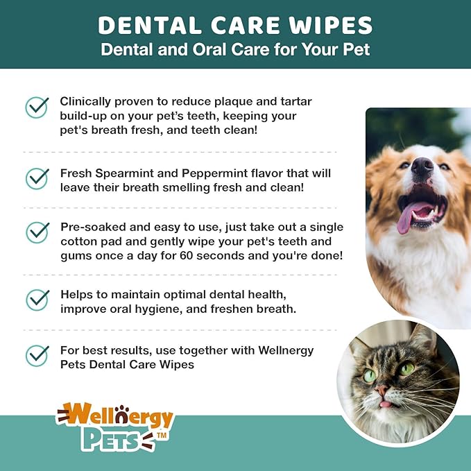 Dental Wipes for Dogs and Cats - No Brush Formula; Improve Oral Hygiene and Health; Freshen Breath; Fresh Mint Flavor. 100 Wipes.