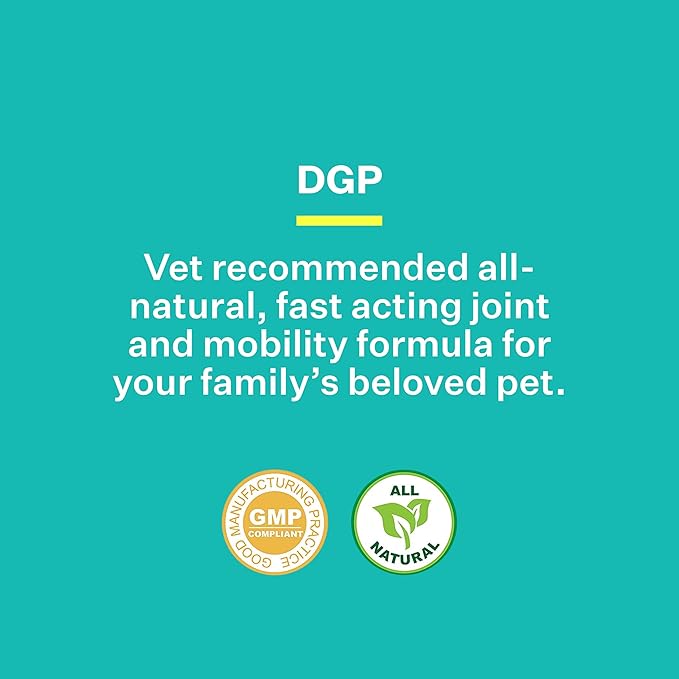DGP 2-Pack, All-Natural Joint Supplement for Dogs - Joint Support with Turmeric, Boswellia Extract & More - Quick Effect for Immediate Mobility Support - 60 Chewable Pet Tablets