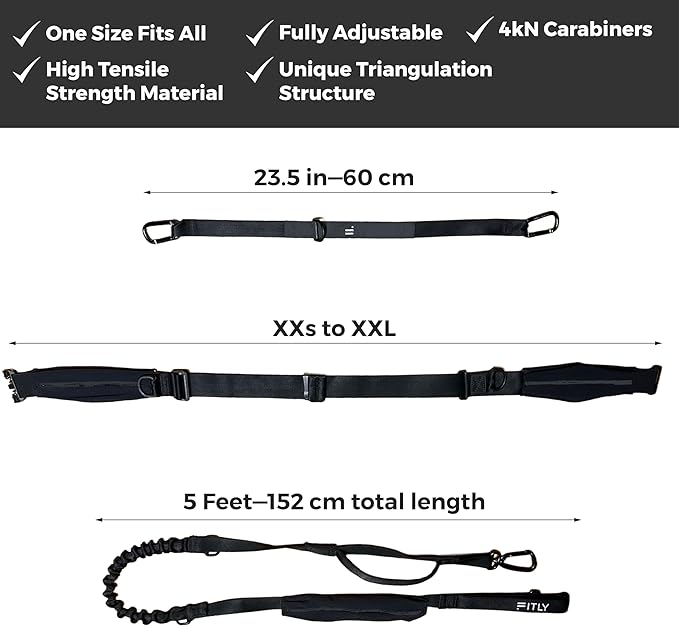 Dog Running Waist Belt - Running Dog Lead - Canicross Harness Carry Personal Items Running, Walks, Hikes - Waist Leads for Dogs with Belt Pouch, Converts into Canicrossing Line - Nifty Black
