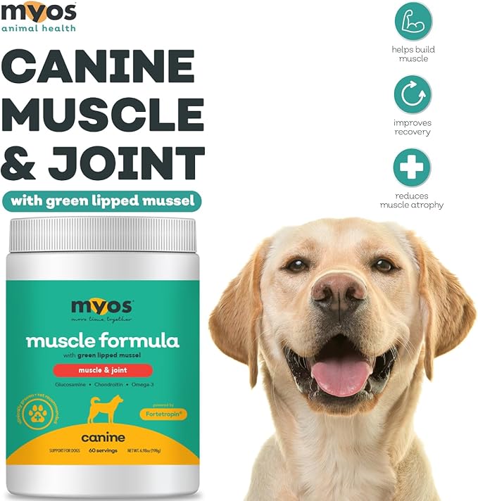 MYOS Canine Muscle & Joint Supplement - Fortetropin & Green Lipped Mussel for Enhanced Strength and Mobility in Dogs, All Natural - Reduce Muscle Loss, Improve Recovery and Reduce Inflammation