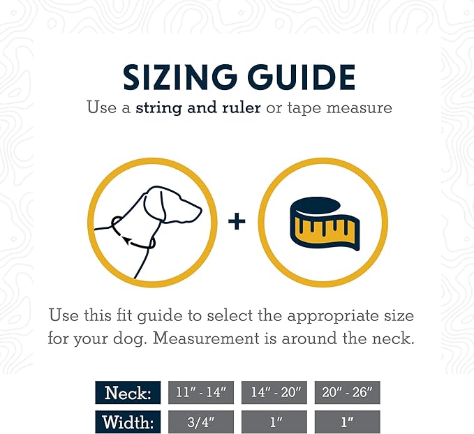 Ruffwear, Chain Reaction Dog Collar, Martingale Style for On-Leash Walking, Granite Gray, 20"-26"