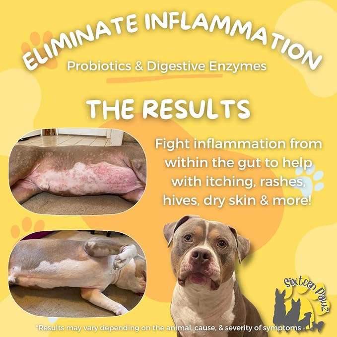 Probiotics, Prebiotics, & Digestive Enzymes for Dogs| Limited Ingredients| Digestive Support |Allergy Relief |Immune Support| Reduces Inflammation| Diarrhea & Gas Relief