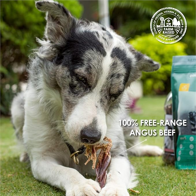 SUPER CAN BULLYSTICKS Beef Gullet Sticks for Dogs 12" (4 count) | Natural Beef Sticks Jerky Chews for Puppies & Small Dogs | Glucosamine Rich Dog Treats for Healthy Joints | Softer Than Bully Sticks