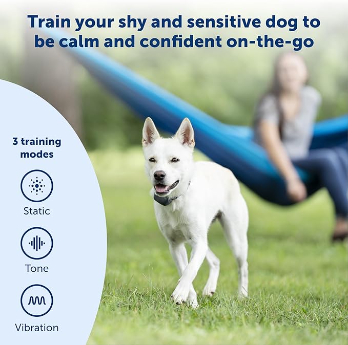 PetSafe 300 Yard Remote Training Collar Smaller Version for Small or Medium Dogs Choose from Tone, Vibration, or 15 Levels of Static Stimulation Medium Range Option for Training Off Leash Dogs