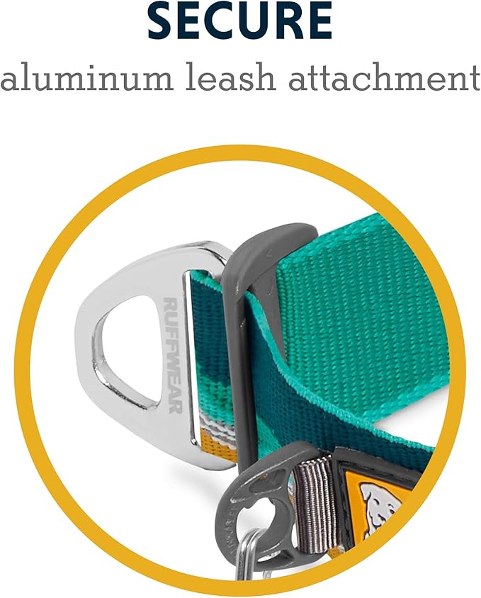 Ruffwear, Top Rope Dog Collar, Reflective Collar with Metal Buckle for Everyday Use, Seafoam, 14"-20"