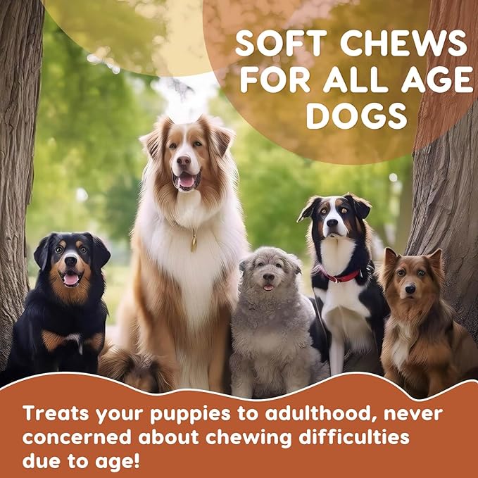 Probiotics for Dogs Dog Probiotics for Digestive Enzymes Health with pumpkin, Fish Oil, Enzymes, Supports Gut & Immune & Itchy - 120 Soft Chews