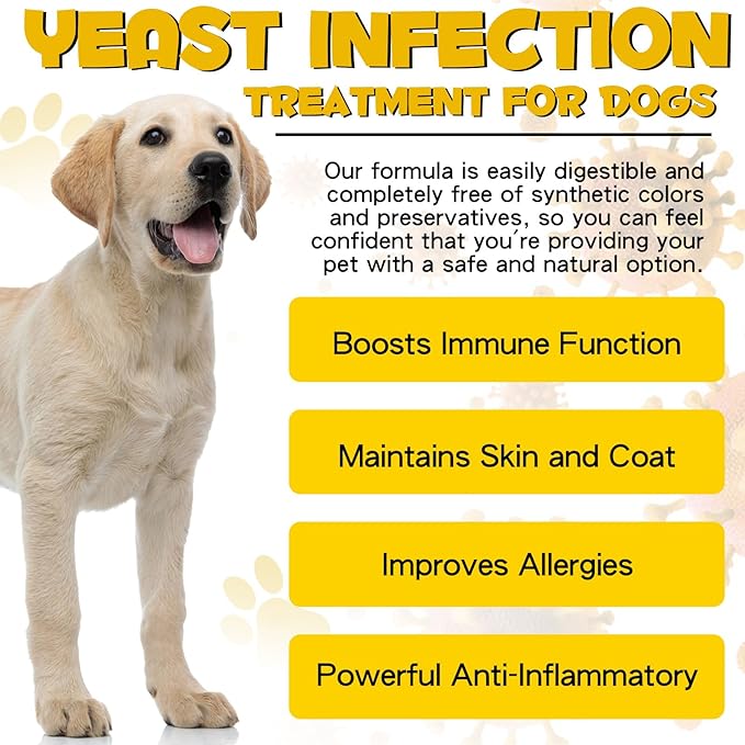 Dog Yeast Infection Treatment, 4 Fl Oz Natural Yeast Infection Treatment for Dogs Supports Dog Skin Itch Relief, Dog Ear Infection & Allergy Relief, Pet Supplies Dog Ear Care, Bacon Flavor - 2 x 60ml