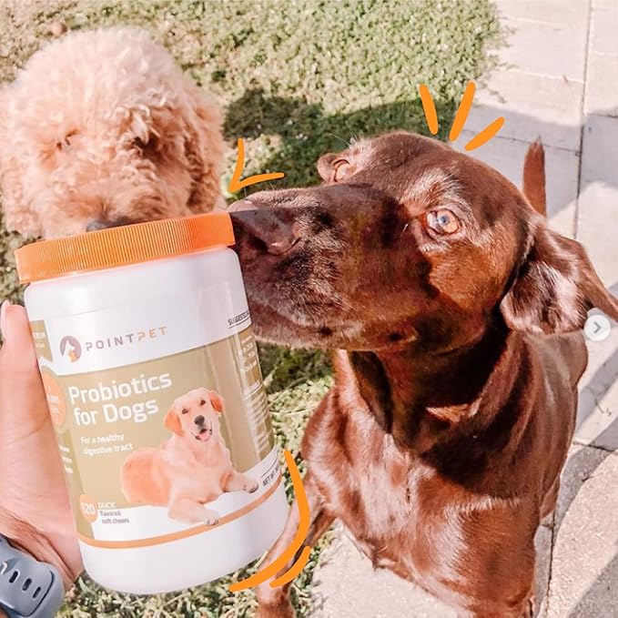 Probiotics for Dogs - Premium Probiotic Supplement with Prebiotics - Helps Support Proper Gut Flora, Digestive Tract & Loose Stool - Promote Intestinal Well-being