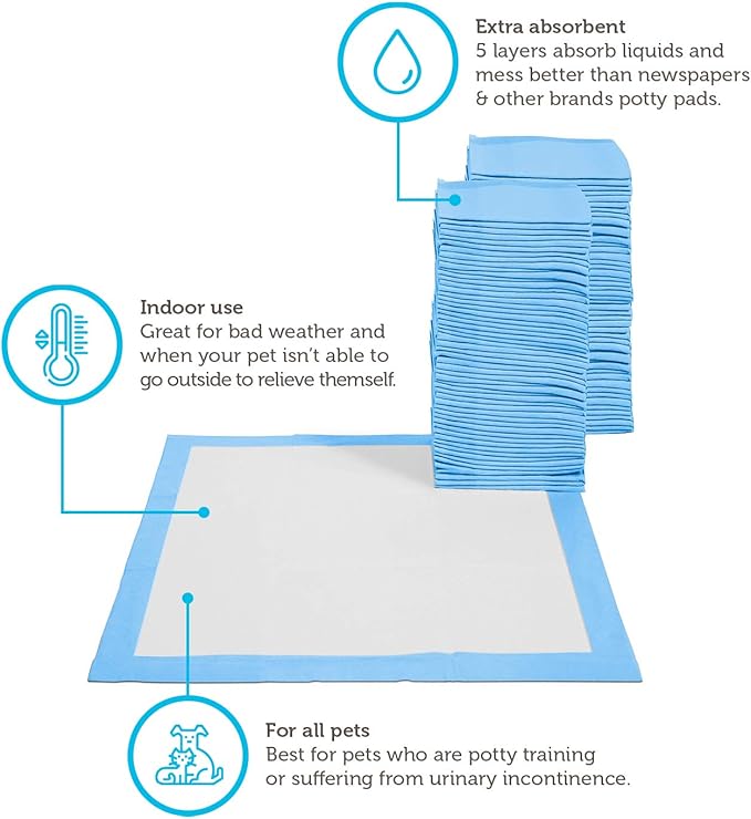 Paws & Pals Leak-Proof Potty Training Pee Pads for Dogs and Puppies, Large - 22x22 Disposable, 150 Count