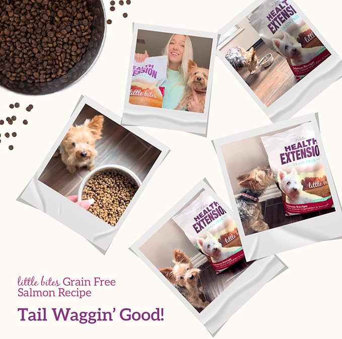 Health Extension Grain Free Little Bites for Dogs, Natural Food with Added Vitamins & Minerals, Perfect for Teacup, Toy & Small Dogs, Salmon & Sweet Potato Little Bites Recipe (3.5lb Bag)