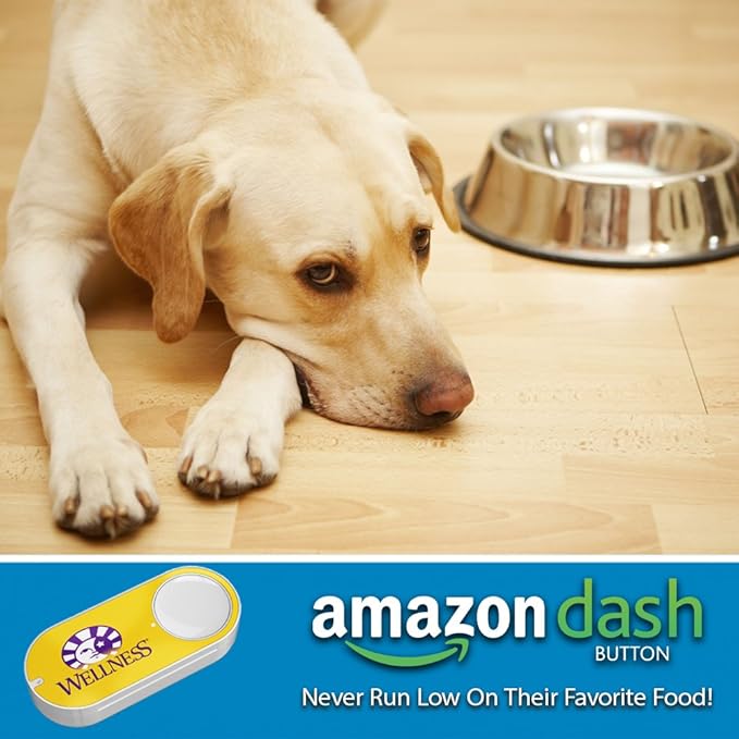 Wellness Natural Pet Food Simple Natural Limited-Ingredient Grain-Free Dry Dog Food, Easy to Digest for Sensitive Stomachs, Supports Skin & Coat (Healthy Weight, Salmon and Peas, 24-Pound Bag)