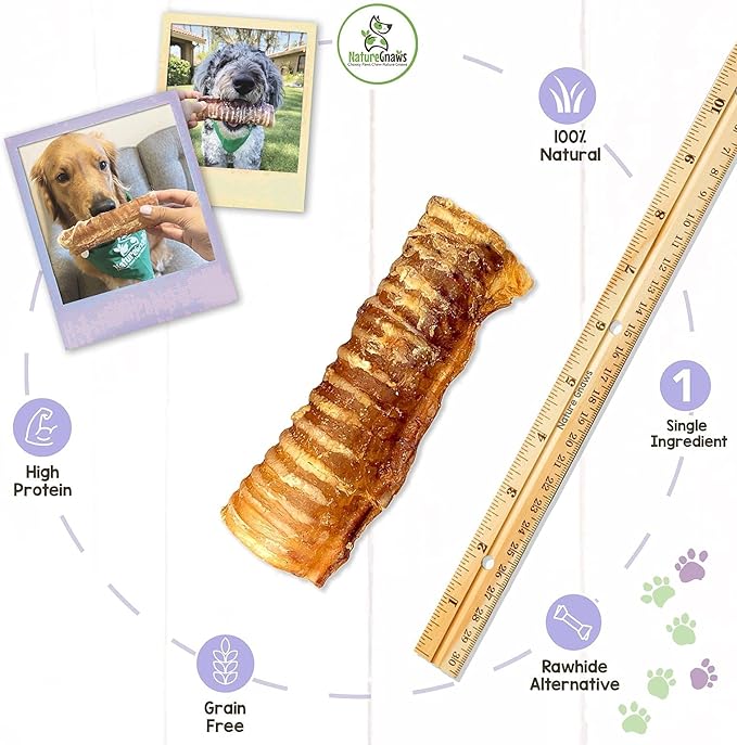 Nature Gnaws Beef Trachea for Dogs - Premium Natural Beef Bones - Simple Single Ingredient Crunchy Dog Chew Treats - Rawhide Free 6 Count