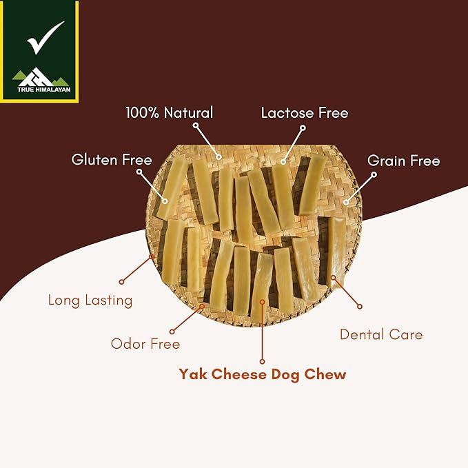True Himalayan Yak Cheese Dog Chews Long Lasting Odor Free Dental Chews for Dogs, Natural Cheesy Dog Bones for Aggressive Chewers, Healthy Dog Treats (Large, 1, Count)