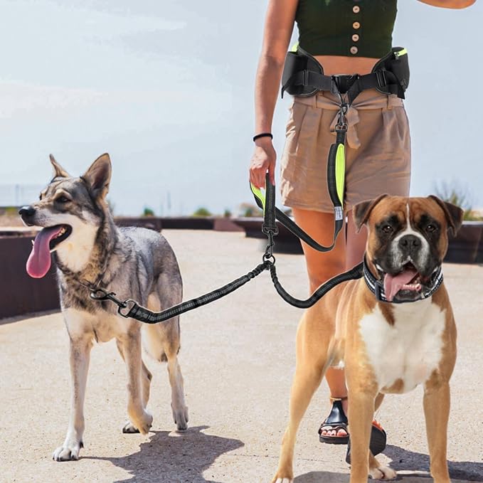 Hands Free Dog Leash for 2 Dogs, Wide Padded Waist Leash Double Dogs Leash Dog Running Leash for Dog with Reflective Stitching for Walks, Jogging, Running, Hiking, and Dog Training