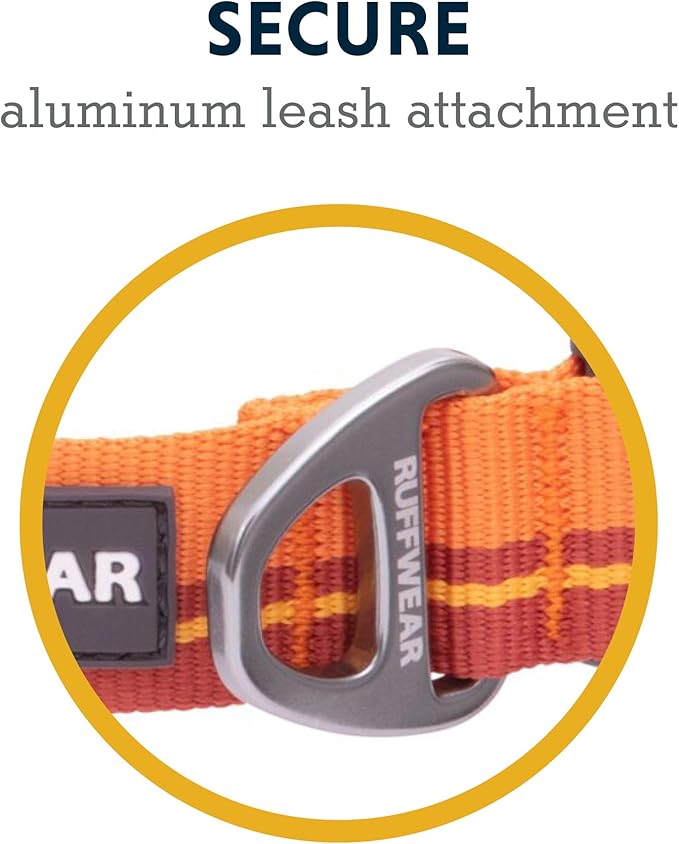 Ruffwear, Flat Out Dog Collar (Formerly Hoopie), Webbing Collar for Walking and Everyday Use, Autumn Horizon, 11"-14"