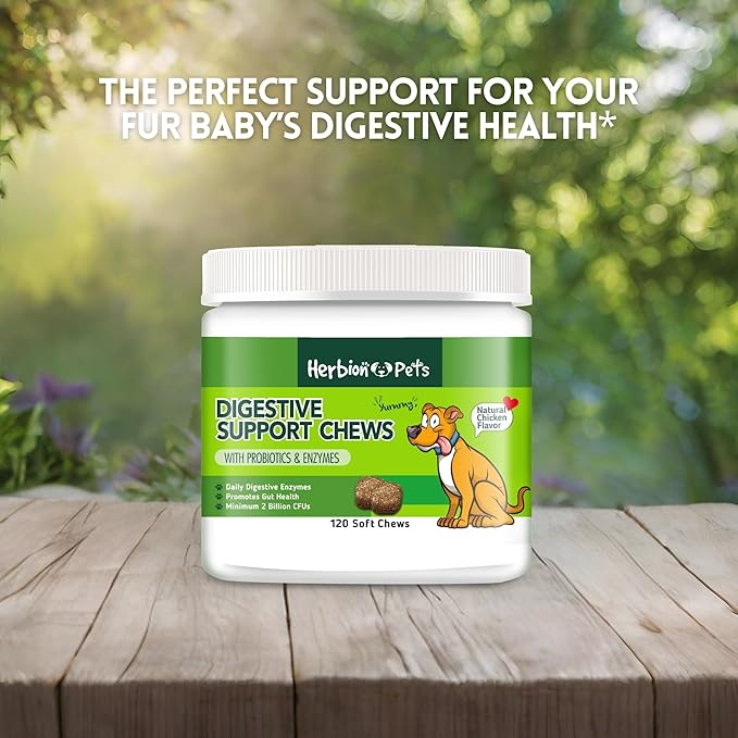 Herbion Pets Digestive Support Chews with Probiotics and Enzymes, 120 Soft Chews - with Daily Digestive Enzymes - for Improved Gut Health - Minimum 2 Billion CFUs - Made in USA - for Dogs 12 Weeks+