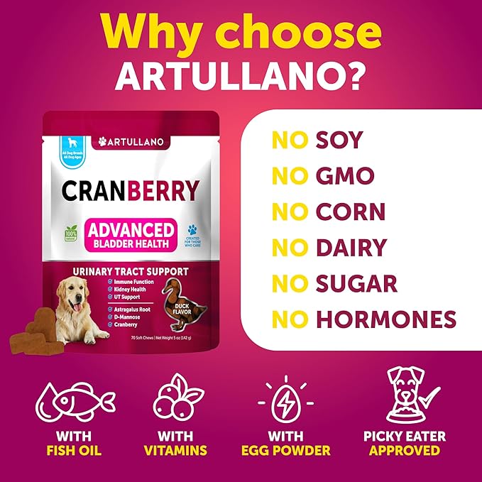Dog UTI Treatment - Cranberry Supplement for Dogs - Bladder Control for Dogs - Dog Urinary Tract Infection Treatment - UTI Medicine for Dogs - Dog Cranberry Supplement - Kidney Support - 70 Chews