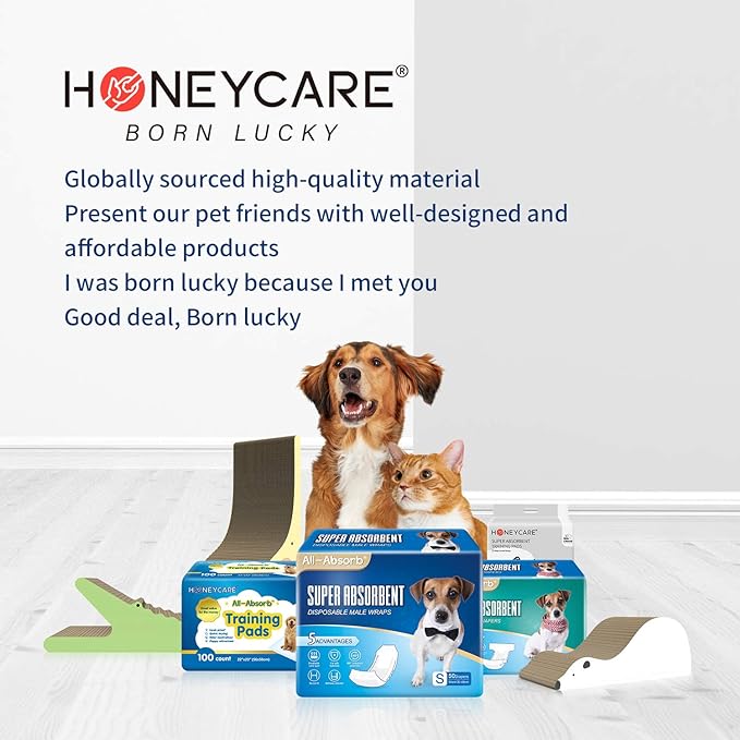 HONEY CARE All-Absorb, Large 22" x 23", 100 Count, Dog and Puppy Training Pads, Ultra Absorbent and Odor Eliminating, Leak-proof 5-Layer Potty Training Pads with Quick-dry Surface, Blue, A01