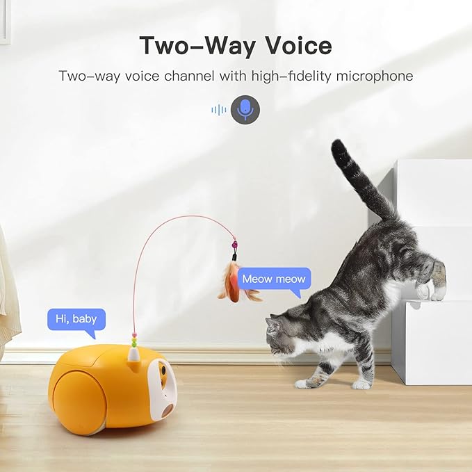 Pet Camera Treat Dispenser, Cat Dog Camera, Automatic Pet Feeder with App Remote Control, 2 Way Audio, 1080P HD Mobile Camera with Night Vision, Interactive Replaceable Cat Teaser