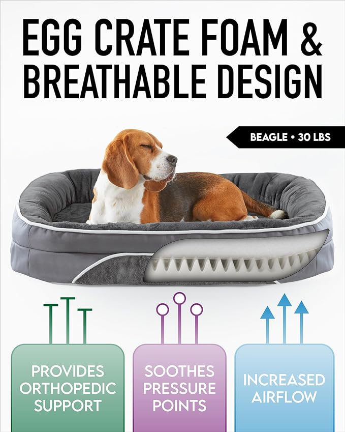 Orthopedic Dog Bed for Large Dogs, Dog Couch Design with Egg Foam Support, Removable, Machine Washable Plush Cover and Non-Slip Bottom with Four Sided Bolster Cushion (Gray)