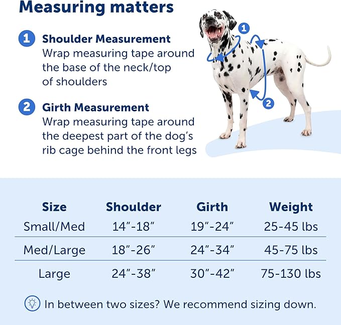 PetSafe Easy Walk Comfort No-Pull Dog Harness Full-Body Padding - Better Walks on The First Use - 5 Points of Adjustment Small/Medium, Blue