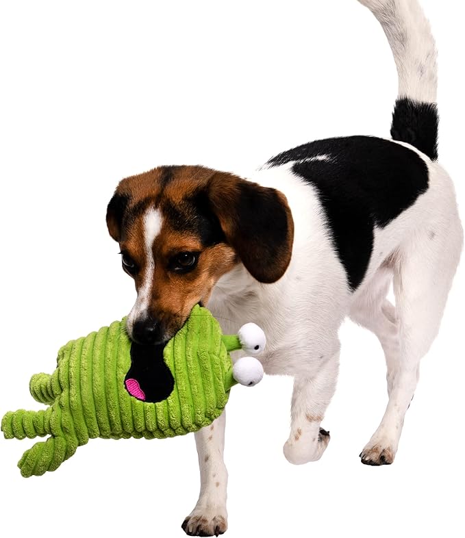 goDog PlayClean Germs Squeaky Plush Dog Toy with Odor-Eliminating Essential Oils, Chew Guard Technology - Green, Small