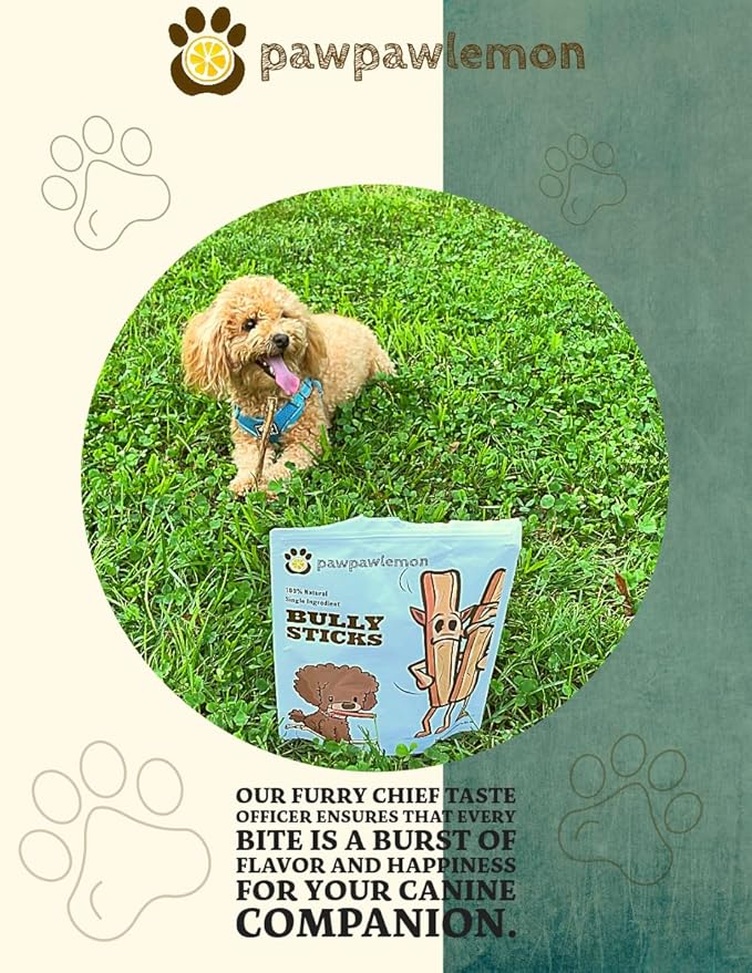 Bully Sticks for Dogs (6 inch Pack of 10) | Long Lasting Natural Dog Chew | Single Ingredient 100% Beef Pizzle | Packed in The USA | Standard Thickness