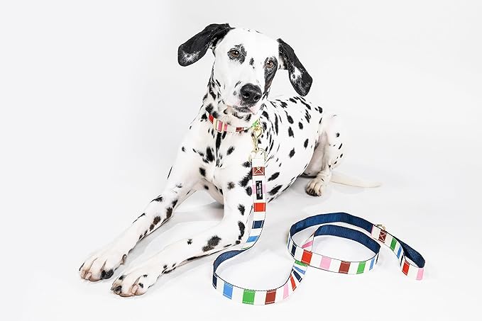 Kate Spade New York 4.5ft Dog Leash, Heavy Duty Leash for Female or Male Dogs, Cute Pet Leash with Gold Metal Hardware, Long Dog Lead for Small and Medium (Adventure Stripe)