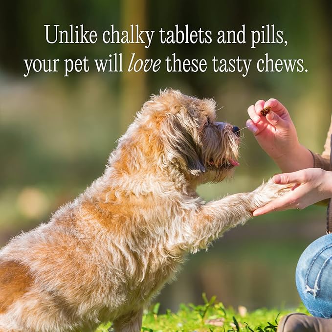 pawTree Natural Allergy Support Plus for Dogs-Ideal for Itching, Irritated Skin, Seasonal and Food Allergies, Hot Spots. Supplement your pet will love. Small Chews for Pets - 60 Count (Large)