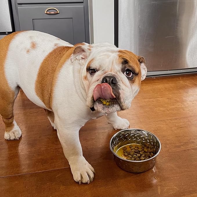 Homescape Pets Mussel Mobility - Green Lipped Mussel & Turmeric for Dogs - Hip & Joint Pain Relief Anti-Inflammatory Meal Topper Powder - Better Mobility, Less Stiffness and Aches - Vet Recommended