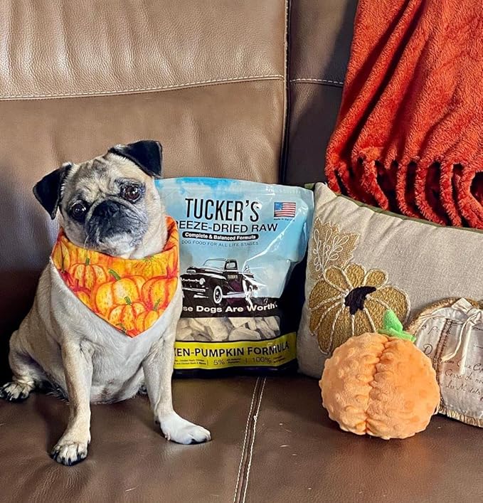 Tucker's Raw Frozen Freeze Dried Raw Dog Food, Chicken & Pumpkin Formula 14oz
